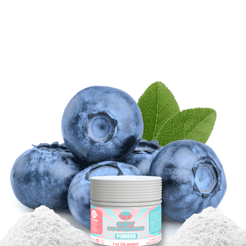 Blueberry Flavored Powder