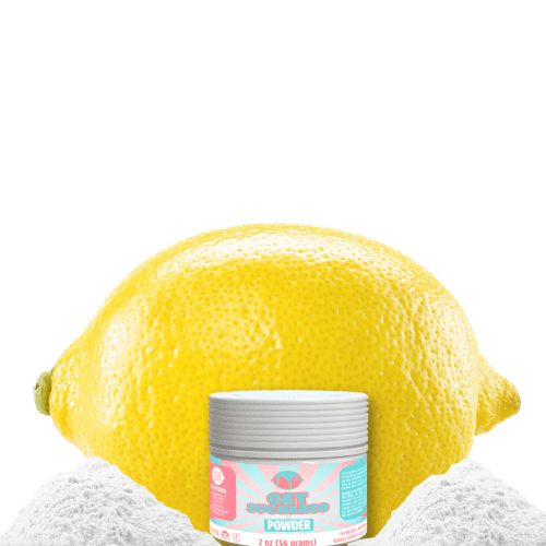 Lemon Flavored Powder - Natural 2oz